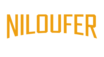 niloufer flavors main logo